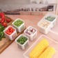 6 Grid Fridge Food Storage Organizer | Preserving Freshness of Cut Veggies and Fruits