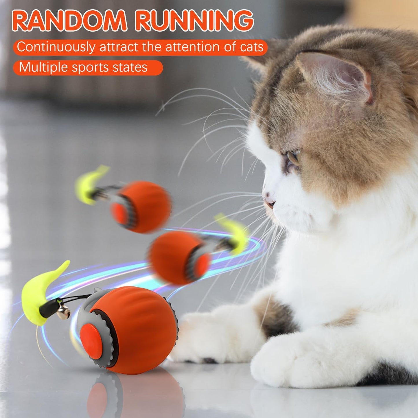 ChaseMaster 2.0 - Interactive Fun for Energetic Pets