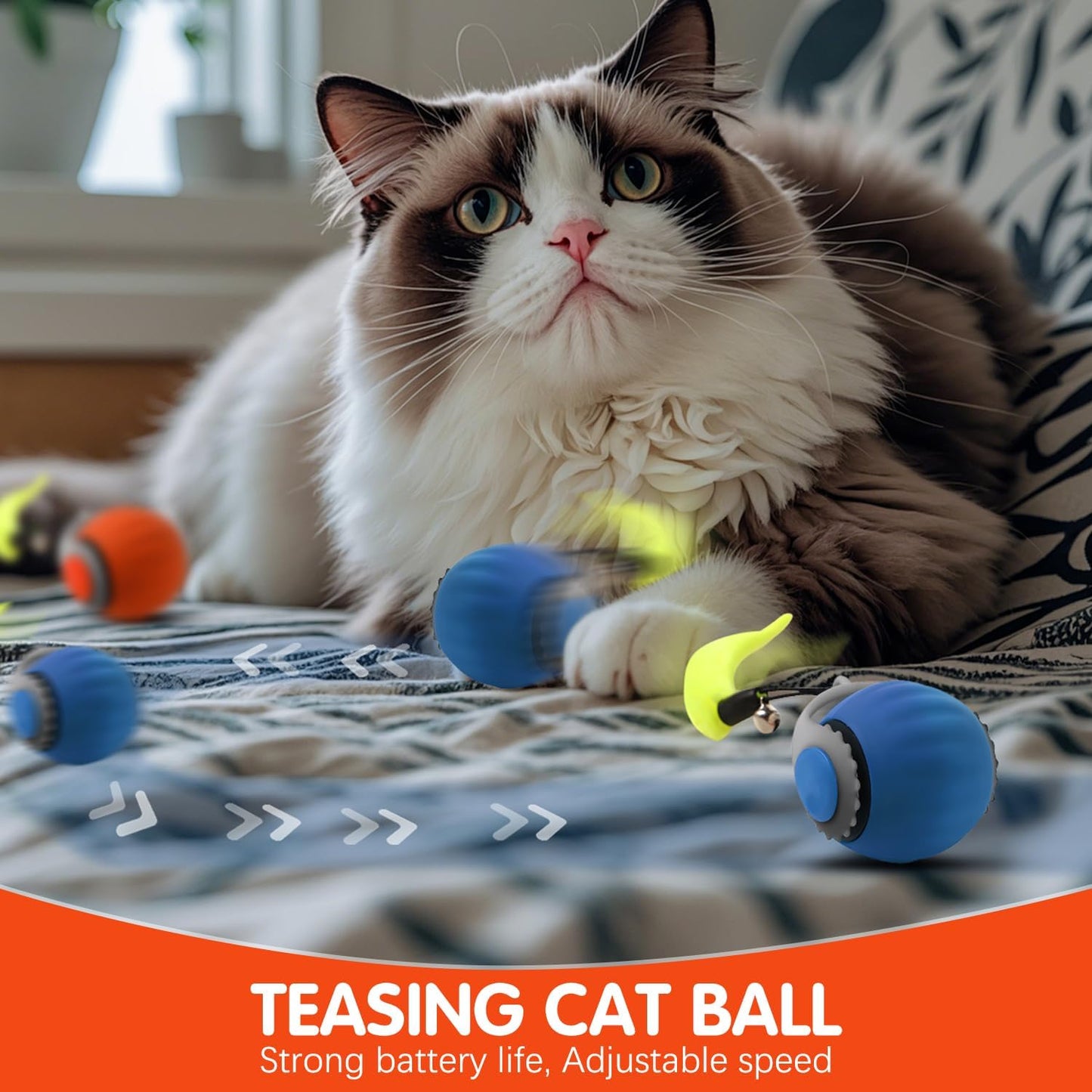 ChaseMaster 2.0 - Interactive Fun for Energetic Pets