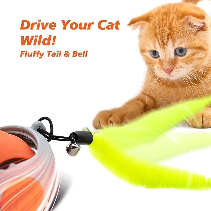 ChaseMaster 2.0 - Interactive Fun for Energetic Pets